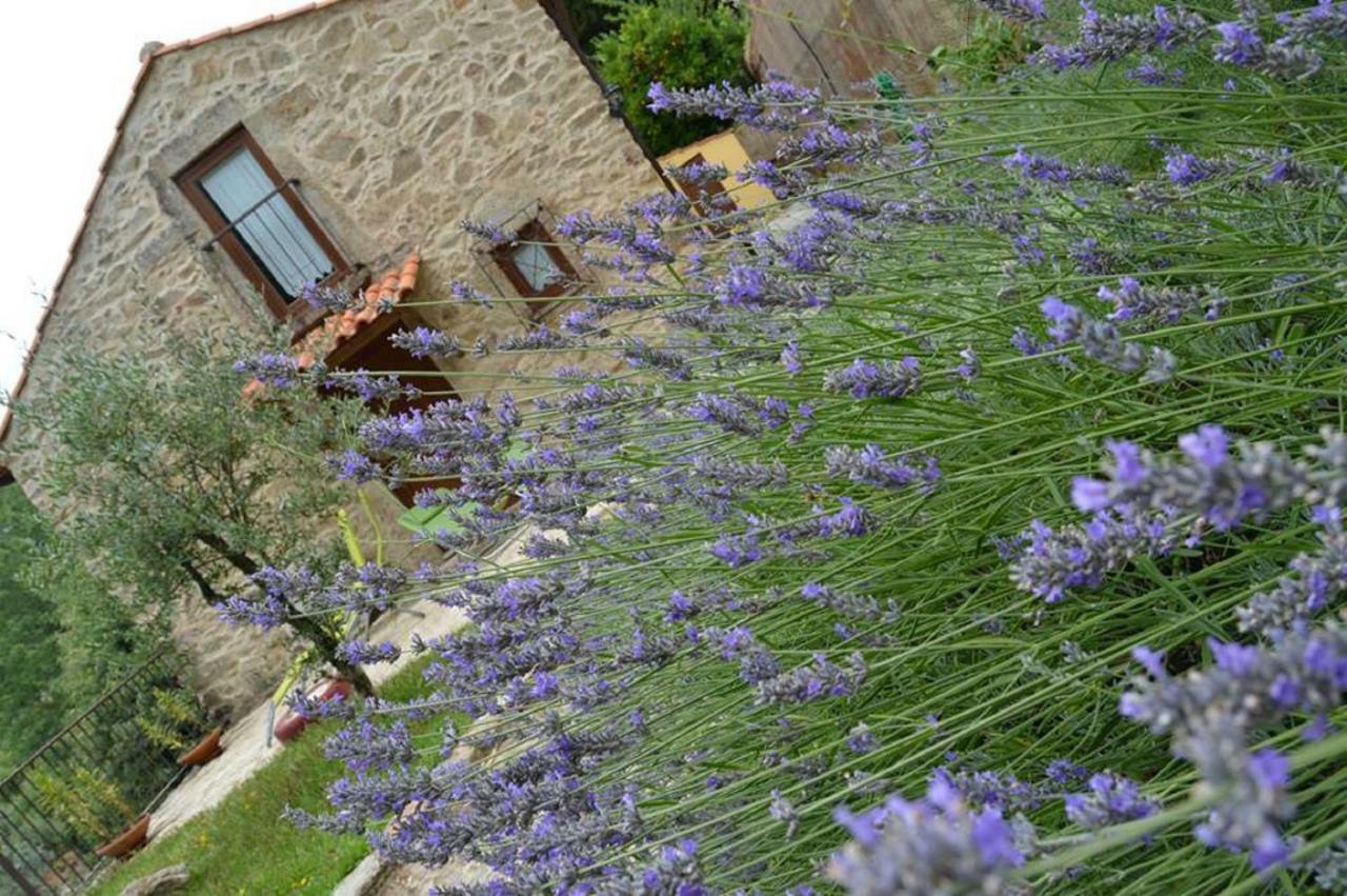 Quinta Da Costeira Villa Sever do Vouga Exterior photo